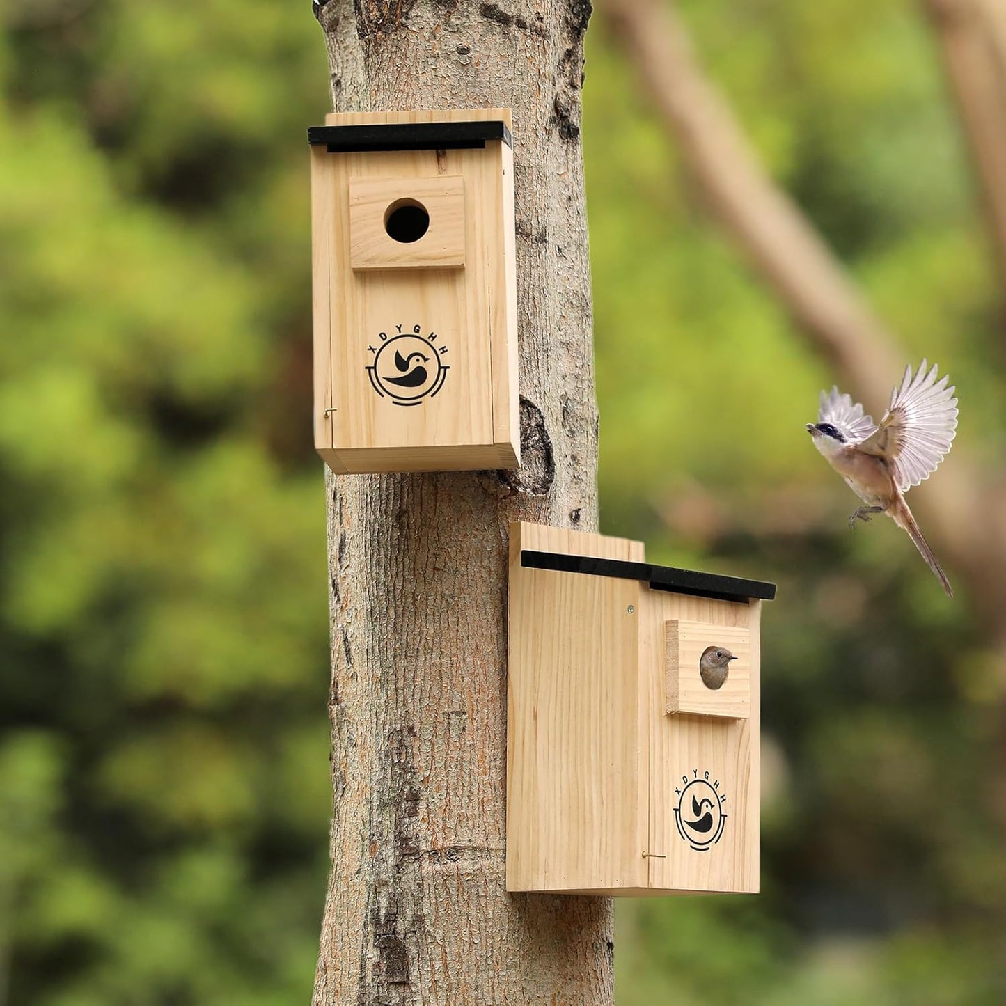 2 Pack Bird Houses for Outside,Bird House kit,Hummingbird House,Blue Bird House Outdoor Wren Swallow Finch