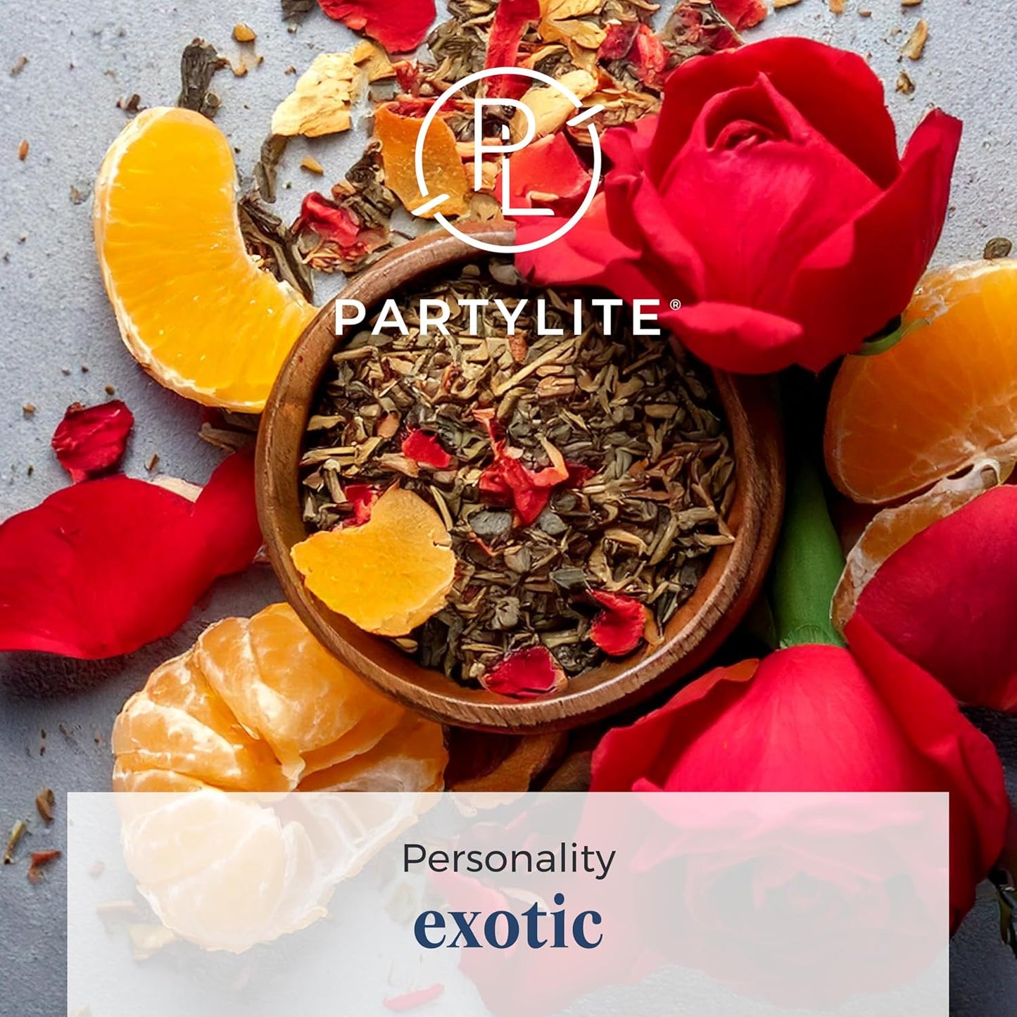 PartyLite 3-Wick Jar Candle, Highly Fragranced Clean Burning Glass Candle, 25-45 Hours Burn Time (Leather Musk)