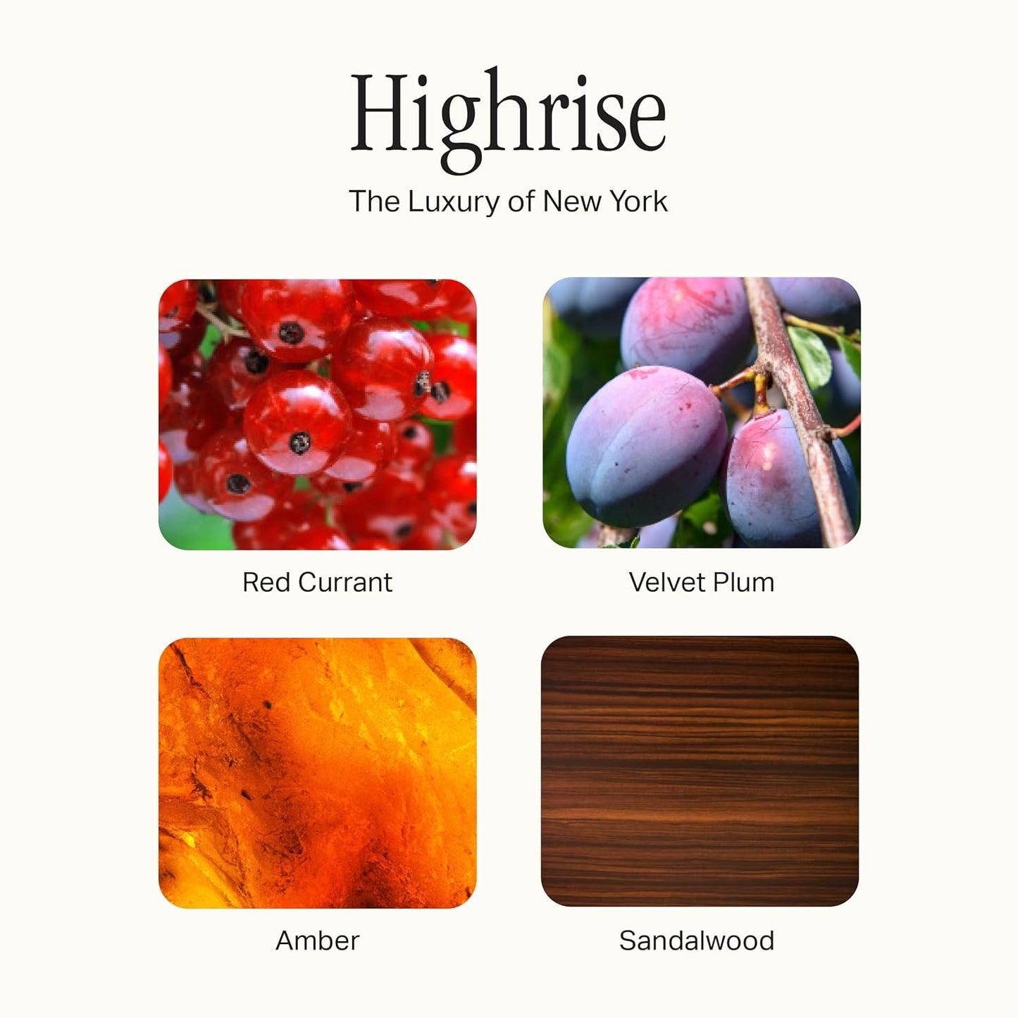 The Scented Candle, Luxury Candle with Vegan, Soy Wax Blend, Highrise, 7.5 Oz