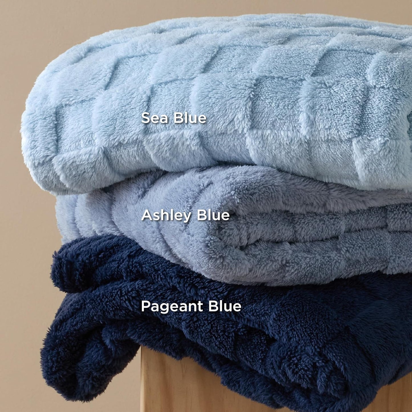 Bedsure GentleSoft Blankets Queen Size for Bed - Super Soft Cozy Blanket for Women Men Girls, Large Fuzzy Fleece Throw for Bedroom Decor, Light Blue, 90x90 Inches