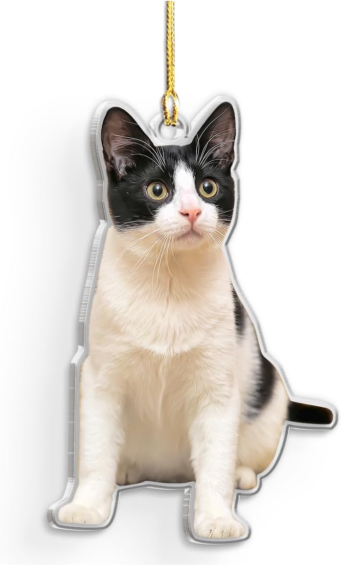 Personalized Acrylic Photo Ornament - Customized Christmas Tree Decor, Gift for Cat Lovers