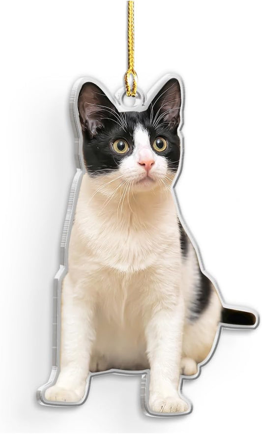 Personalized Acrylic Photo Ornament - Customized Christmas Tree Decor, Gift for Cat Lovers