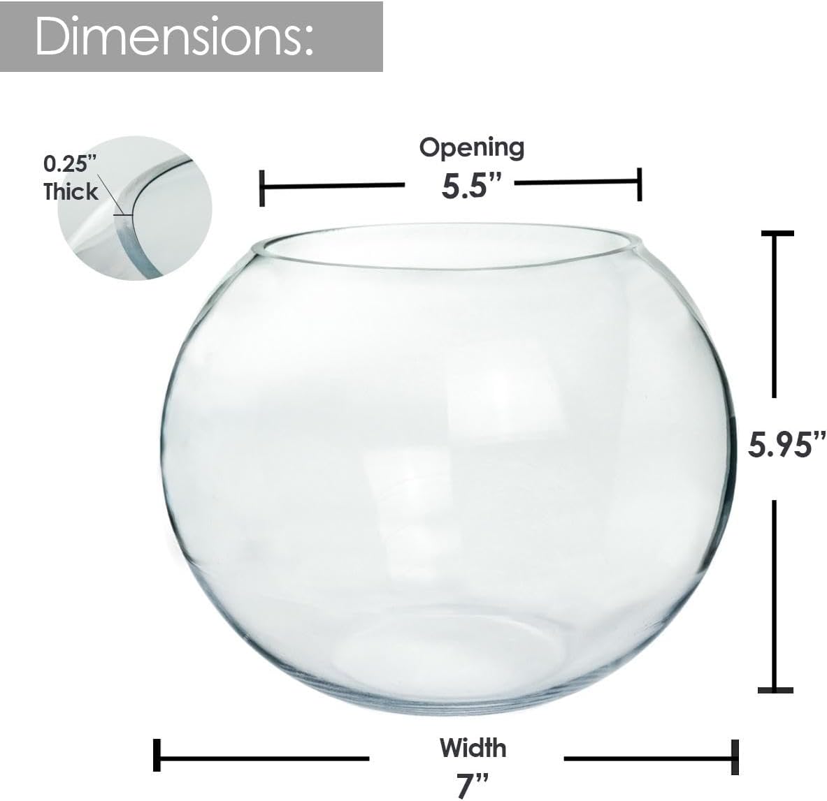Craft And Party, Glass Bubble, 6" Height x 8" Width Glass Fish Bowl Vase, Bubble Bowl vase for Terrarium, Flower vase Centerpiece