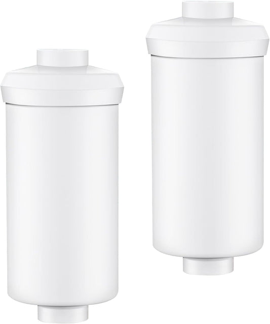 2 Pack Fluoride Water Filter,Replacement for PF-2® Fluoride Filters, Fluoride and Arsenic Filter Compatible with Berkey Gravity Filtration System、 Big、 Travel、 Royal、Imperial and Crown Series