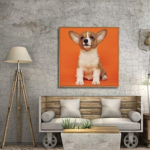 NWT Custom Framed Canvas Prints with Your Photo for Pets, Personalized Canvas Wall Art for Living Room, Bedroom - 16x16 inches