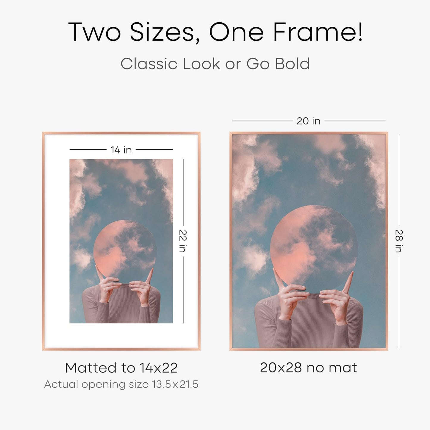 Homeforia 20x28 Frame Rose Gold, High End Metal 20x28 Poster Frames with Mat 14x22 inch Photo, 20 x 28 Rose Gold Picture Frame Matted to 14 by 22 Print, 28x20 Frame, Tempered Glass, Wall Kit, Set of 1