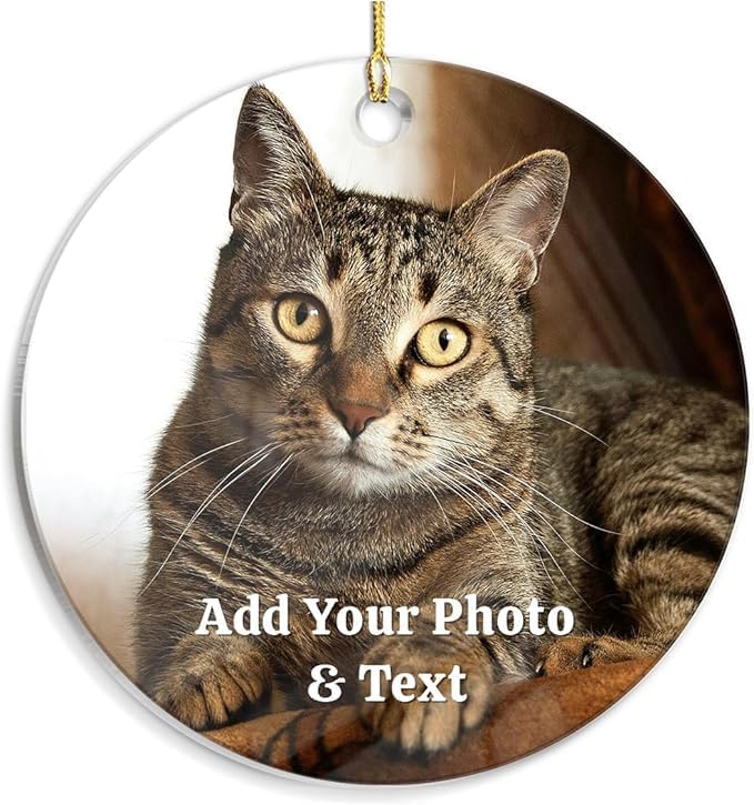 Personalized Cat Ornament, Custom Acrylic Ornaments with Photo - Keepsake Gifts for Christmas, Cat Parents, Kitten Lovers