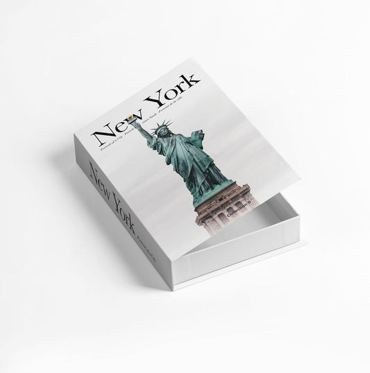 Decorative Storage Book Box – Hidden Storage for Remote Controls, Keys, and Small Items – Elegant Home Decor for Living Room, Bedroom, Coffee Table – Modern Style Faux Book Organizer (New york)