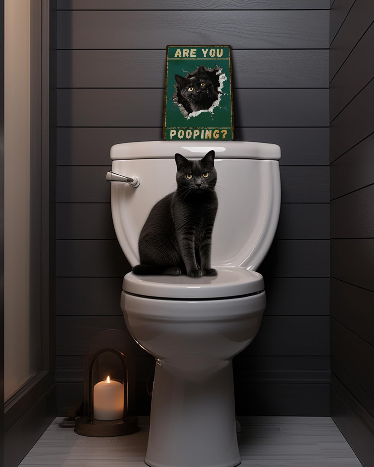 ALKB Are You Pooping Signs Funny Black Cat Sign for Bathroom Wall Decor, Vintage Cat Gift 8 x 12 Inch