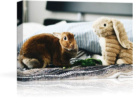 NWT Custom Canvas Prints with Your Photos for Pet/Animal, Personalized Canvas Pictures for Wall to Print Framed 16x24 inches