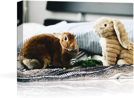 NWT Custom Canvas Prints with Your Photos for Pet/Animal, Personalized Canvas Pictures for Wall to Print - 16x20 inches