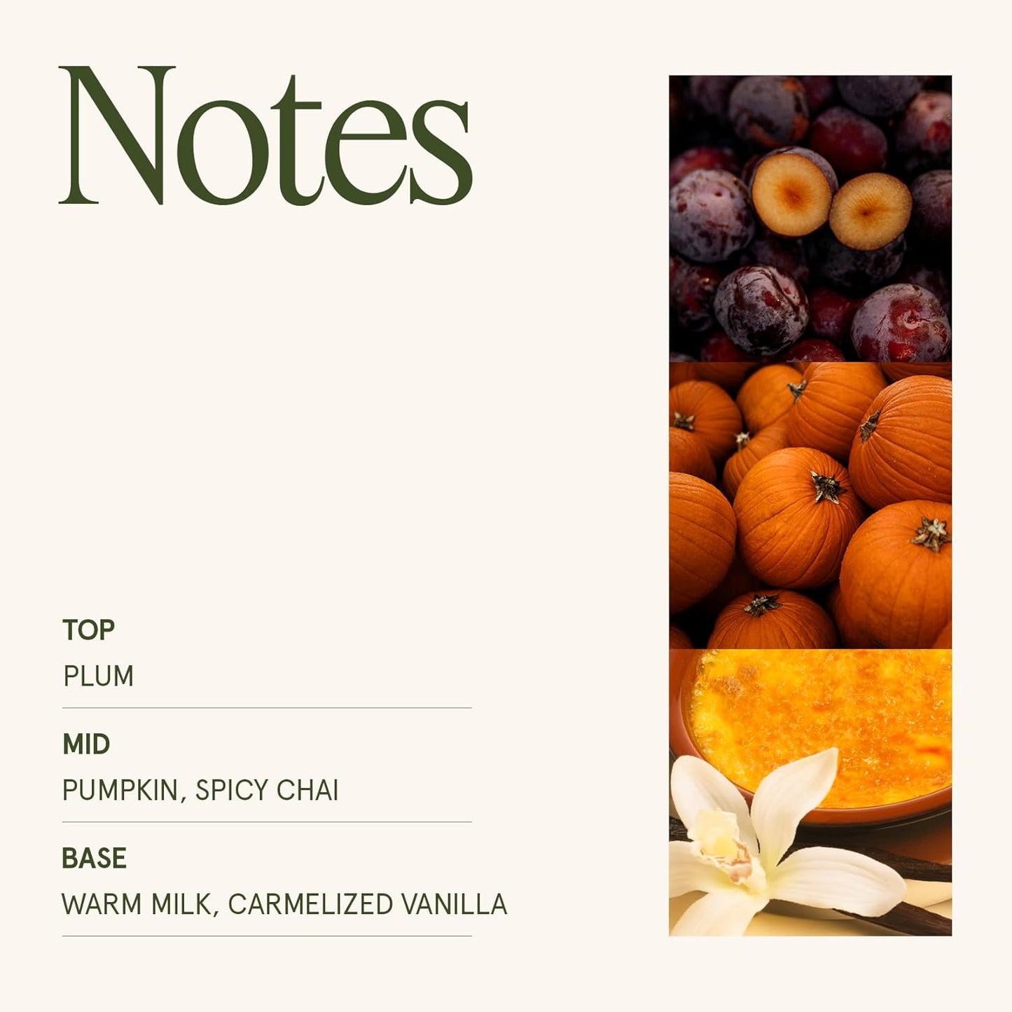 LA JOLIE MUSE Pumpkin Candle, Fall Candles for Home Scented, 19 oz Large Wood Wicked Candles, Natural Soy Candle Gifts for Men&Women, 90 Hours Long Burning, Pumpkin Chai