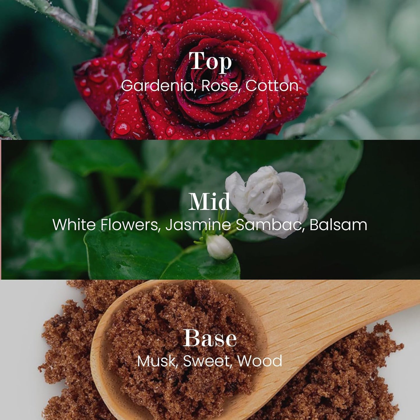 M&SENSE Natural Soy Candle| Puffy-Cloud Dream | 16.6 oz, 95H Burn | Minimalist Scented Candle for Relaxation, Gifting, Home Décor | for Bedroom, Office, Party Large