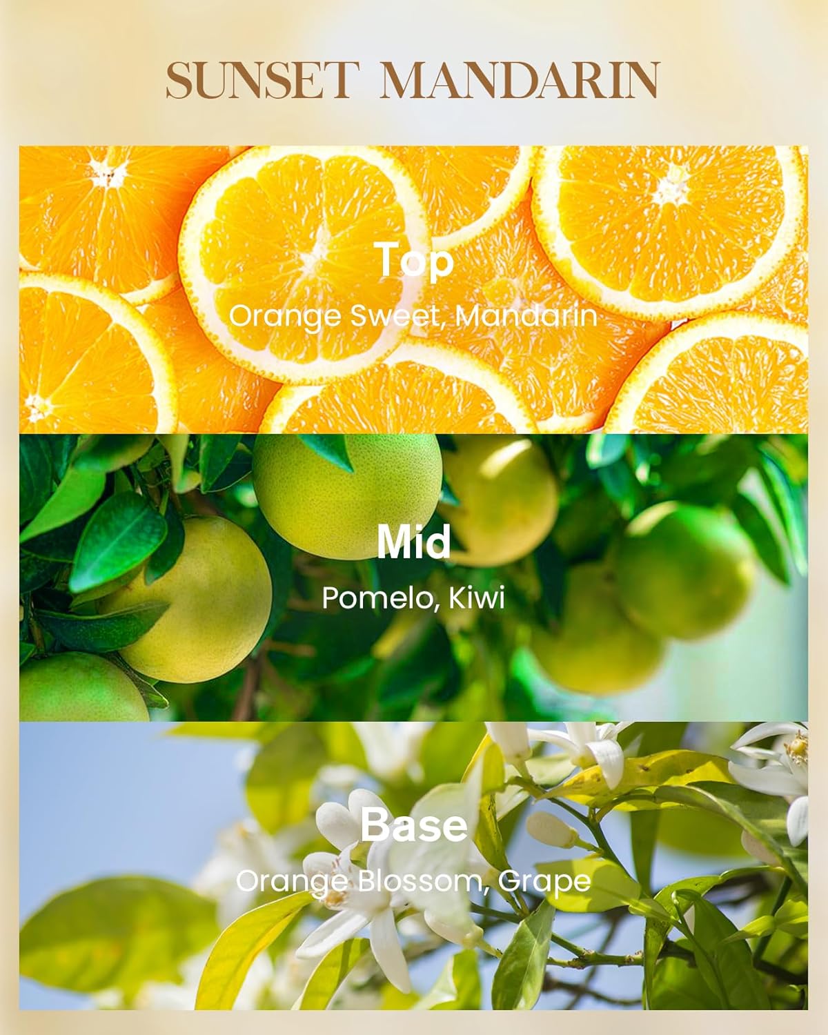 M&SENSE Sunset Mandarin Scented 35oz 150H Burn Time, 3-Wick Natural Aromatherapy Candle Highly Scented Long Lasting, Home Fragrance Housewarming Gifts New Home Gift Ideas