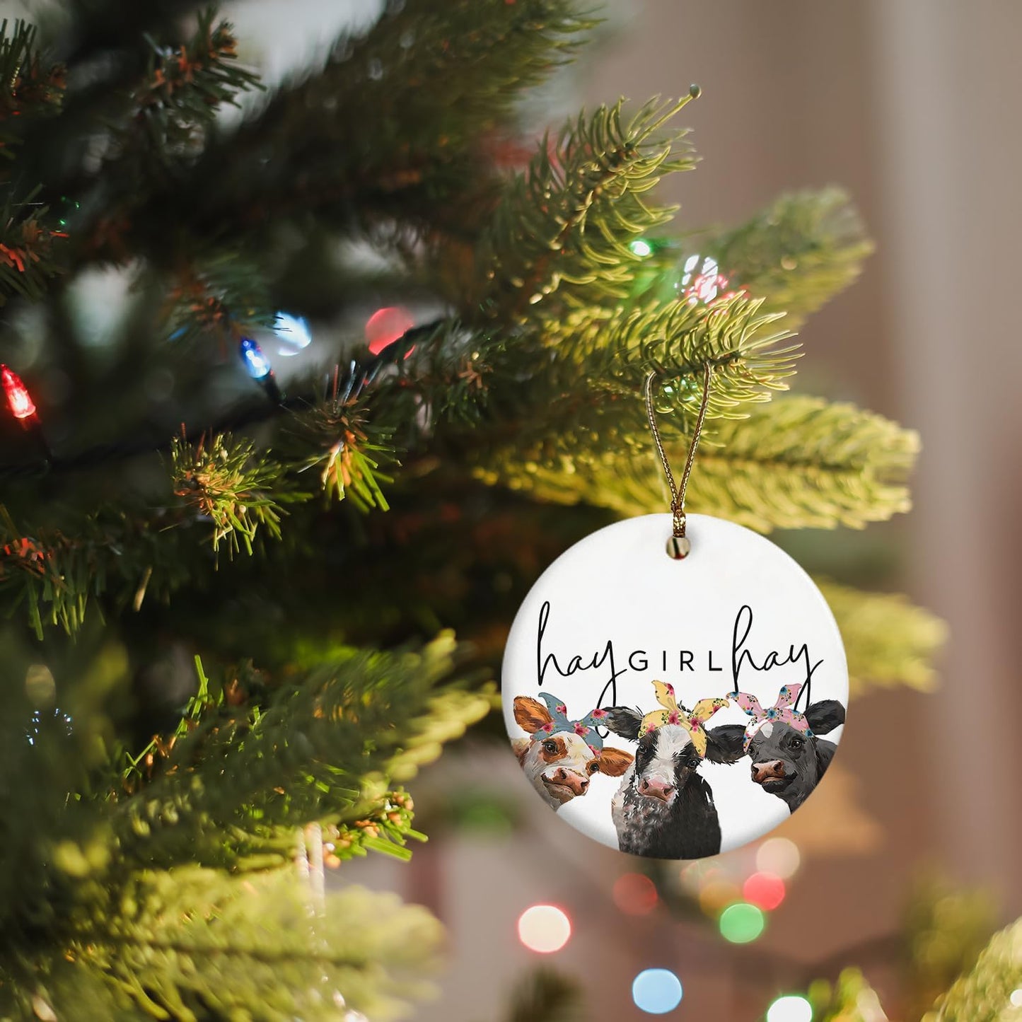 Cow Gifts for Women Cow Lovers Girls, Hay Girl Hay Farmhouse Ceramic Christmas Ornament Keepsake Sign Plaque, Girls Room Bedroom Dorm Decor