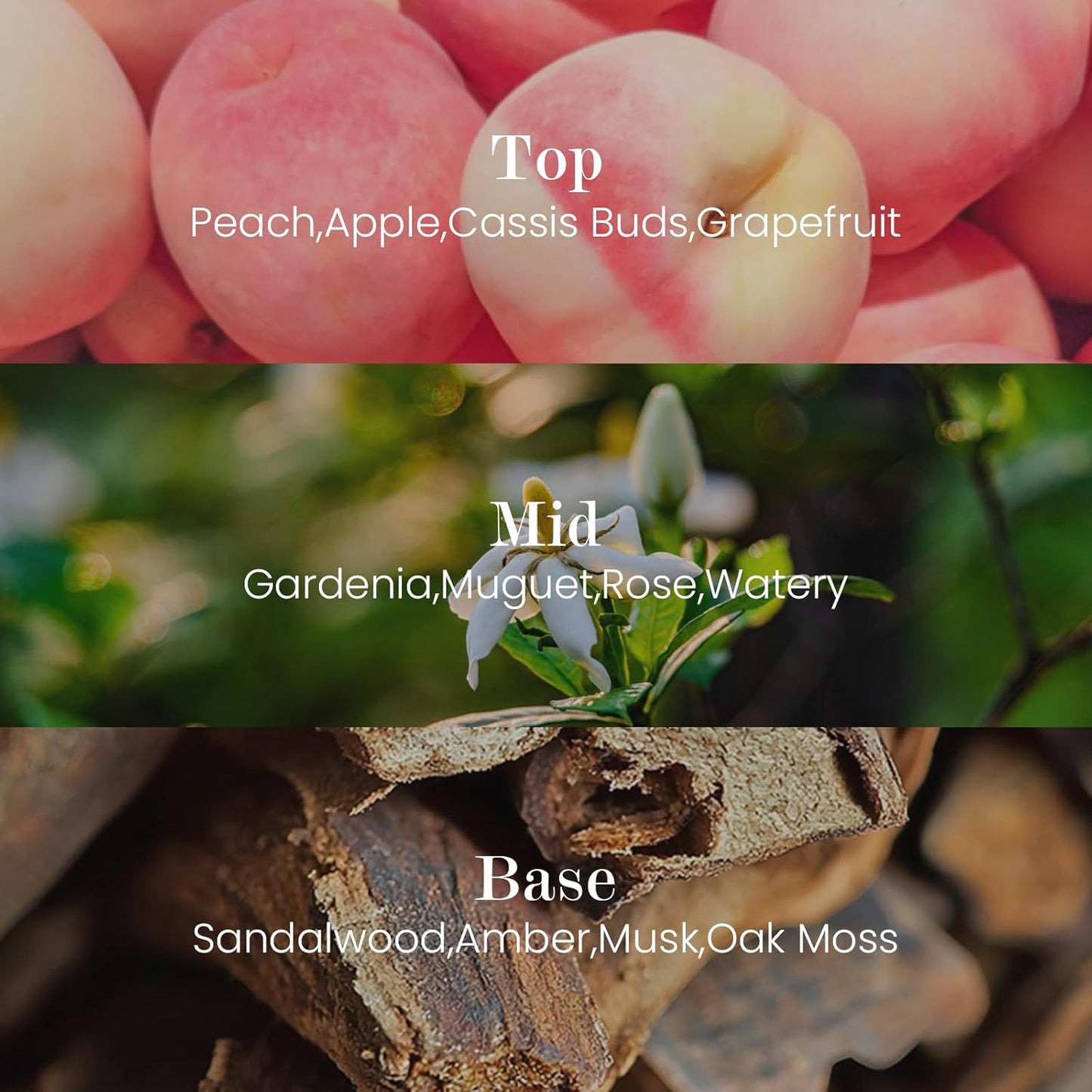 M&SENSE Natural Soy Candle| Pink Jasmine Blossom | 16.6 oz, 95H Burn | Minimalist Scented Candle for Relaxation, Gifting, Home Décor | for Bedroom, Office, Party Large