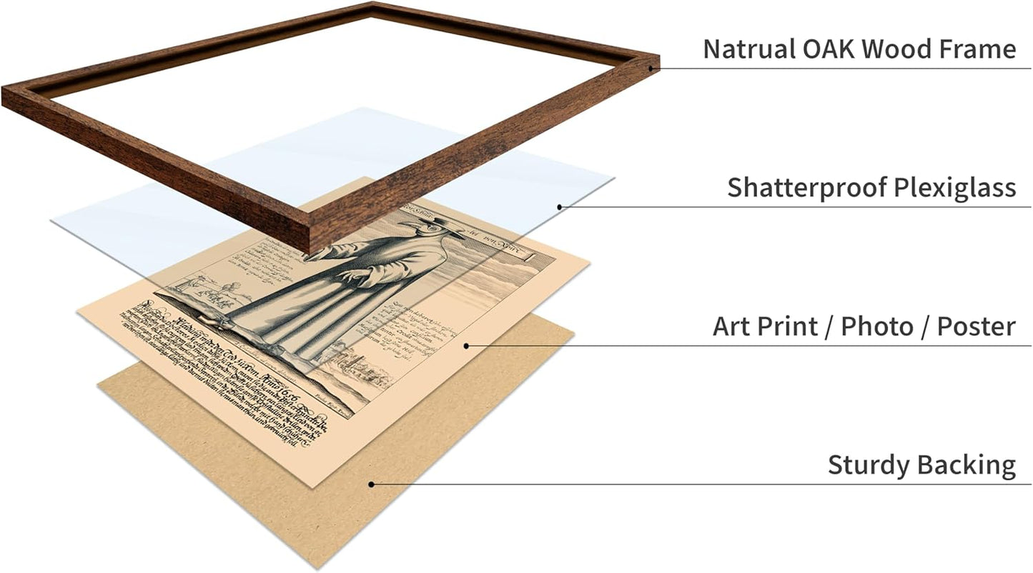 Poster Master Vintage Medieval Poster - Retro Illustration Print - Gift for Friend - Plague Doctor, Pandemic Mask, Physician, Black Death - Wall Decor for Home, Living Room, 11x14 Brown Framed