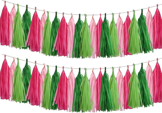 CC wonderland zone Pink and Green Tassel Garland,Paper Tissue Tassel Banner for Party Decorations,Pack of 20