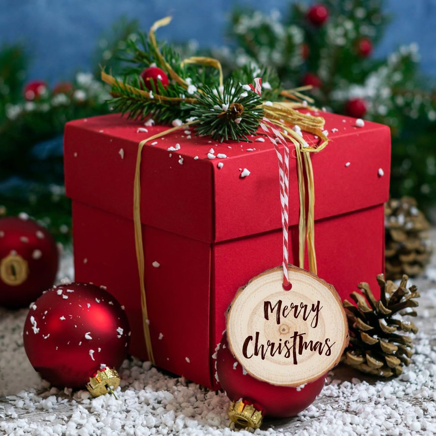 80 PCS 2.4-2.8 Inch Small Wood Slices with Hole, Mini Wood Slices with Rope for DIY Arts Craft Christmas Ornaments