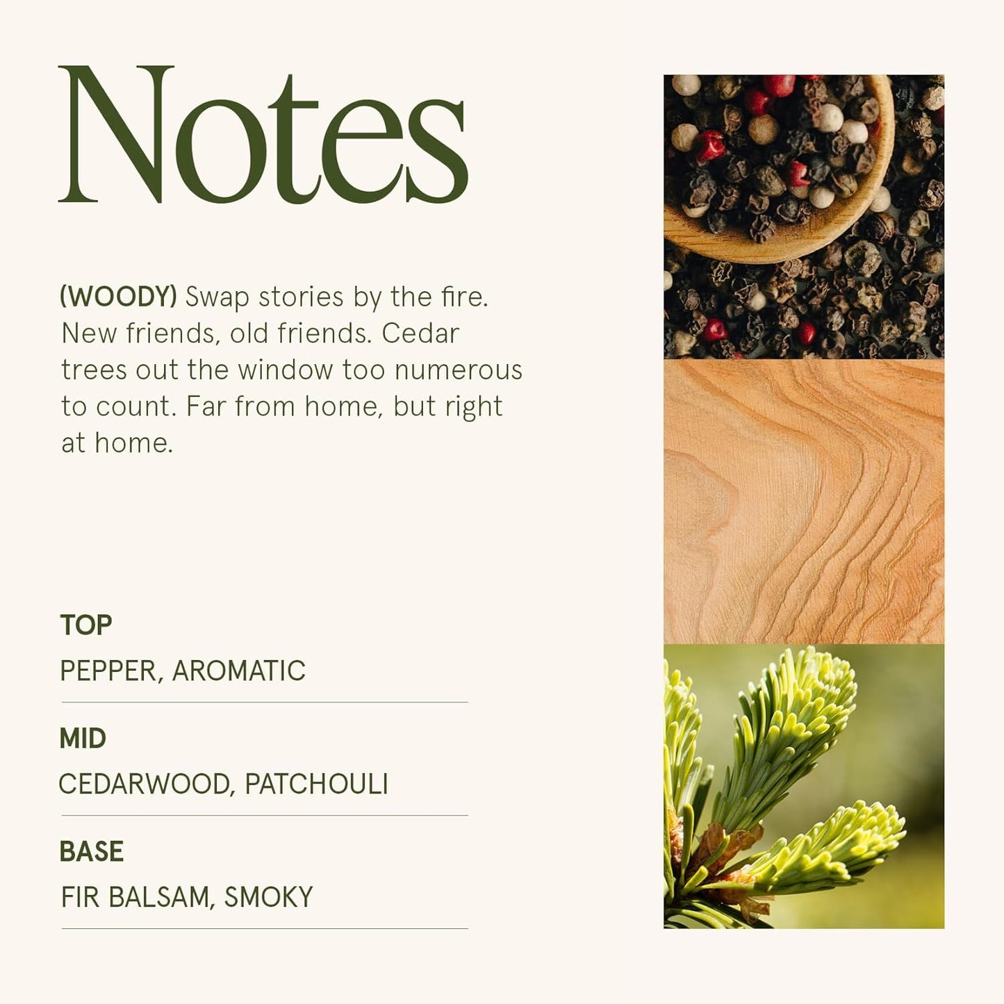 LA JOLIE MUSE Christmas Candles, Starlit Golden Fir Candle – Pine, Cedarwood, Fir Balsam | 19 oz Large Wooden Wick Candle | Natural Soy Wax | 90 Hours Clean Burn | Gift-Ready for Hosts & Gatherings