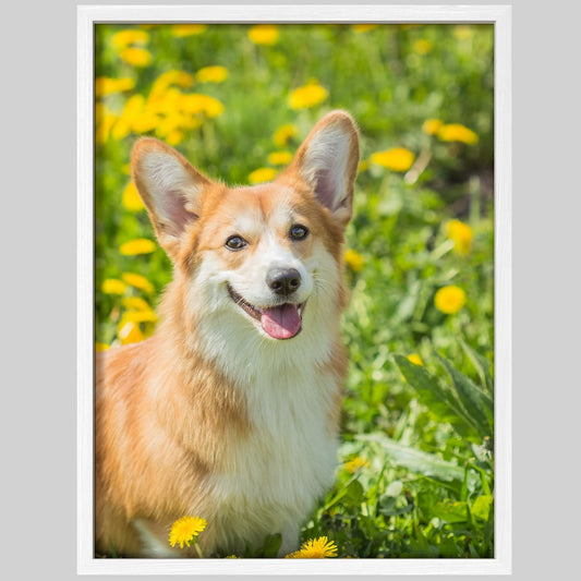 NWT Custom Framed Poster Prints with Your Any Photos, Personalized Canvas Pictures for Wall to Print Framed - 12"x16" White