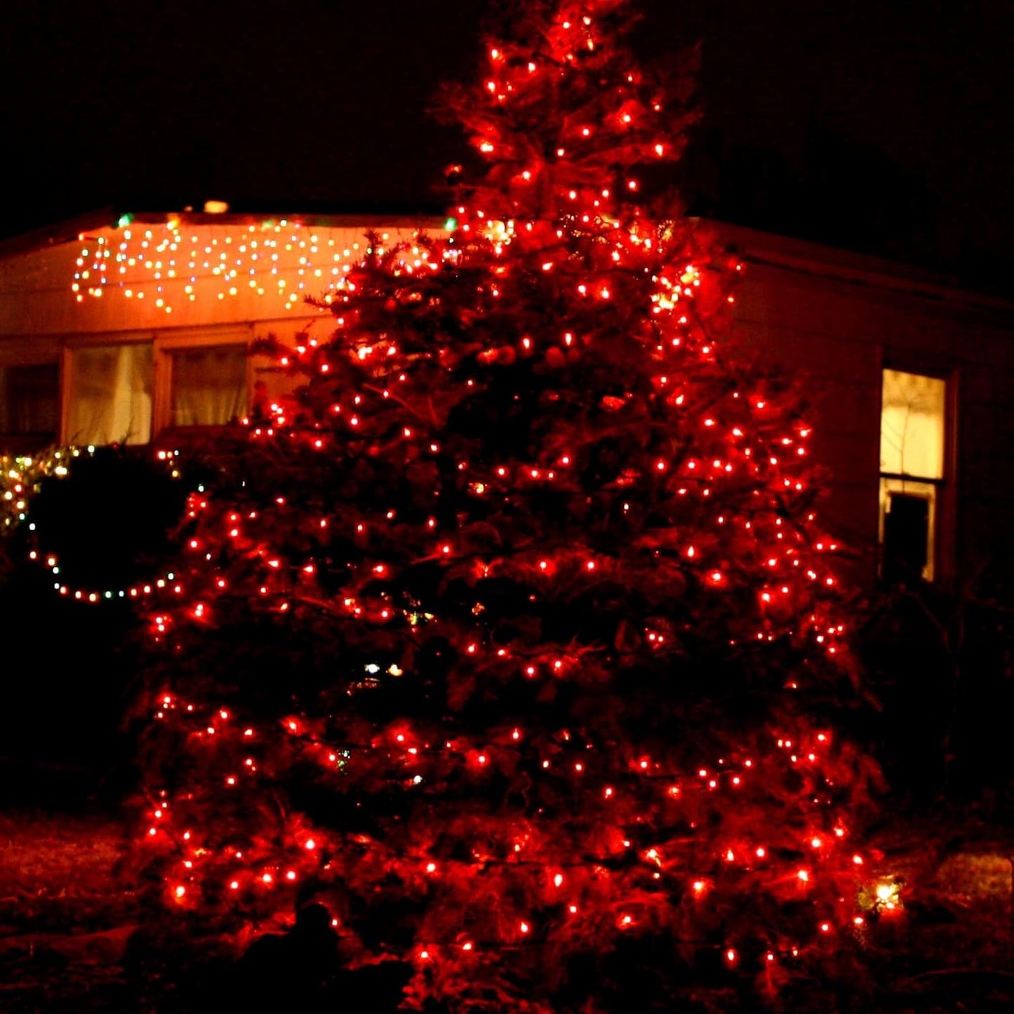 TW SHINE Red Christmas Lights, 20FT 100 Count Incandescent Christmas Mini Tree String Lights, Waterproof Christmas Decorations for Outdoor Indoor Xmas Patio Home Party Garden Yard Decor