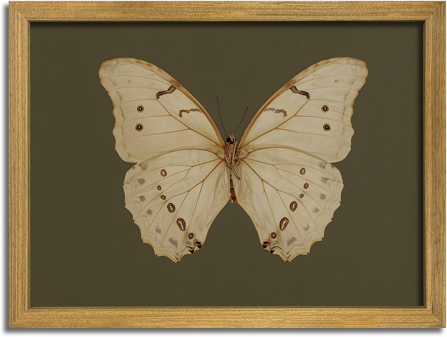 Wood Framed White Butterfly Wall Art, Vintage Butterfly Oil Paintings, Dark Moody Insect Canvas Prints, Boho Sage Green Wall Decor, for Bedroom Kitchen Bathroom Cottagecore Room Decor - 8x10 Inch