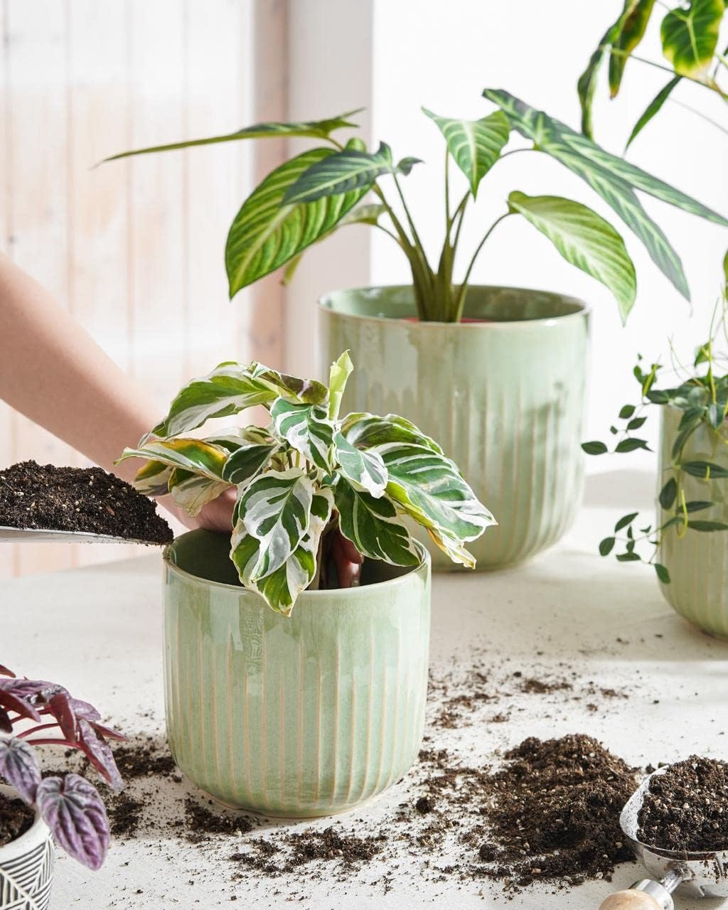 LE TAUCI Fluted Ceramic Planters Set of 3 – 8.3/7 / 5.7 in Sage Green Reactive Cylinder Indoor Plant Pots with Drainage Plug & Mesh, Glossy Stoneware Flower Pots for Succulents Herbs