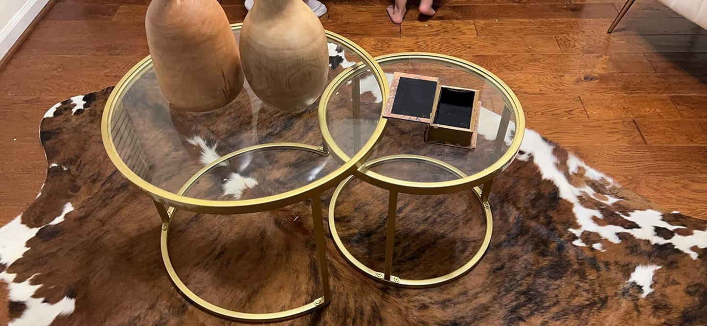 Round Nesting Coffee Table Gold Set of 2 for Living Room, Modern Side Tables with Sturdy Metal Frame and Tempered Glass.Minimalist End Table,Cocktail Table for Dining Room,Home Decor