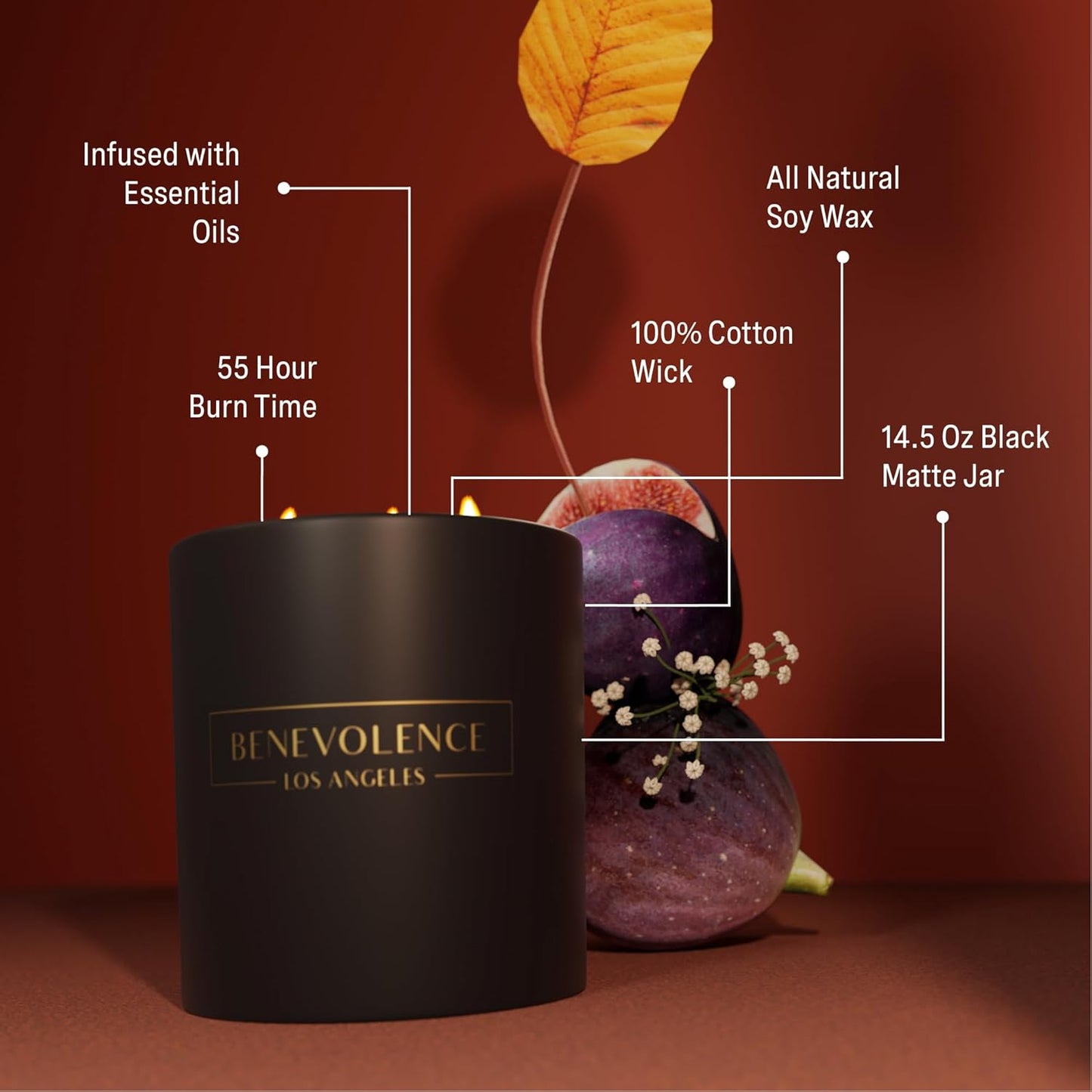 Benevolence LA 3 Wick Candle, Fig Tree Large Scented Candle | Soy Candles | Gifts for Women and Men | Home Fragrance | Aromatherapy | Bathroom Freshener 14.5 Oz, 45 Hour Burn