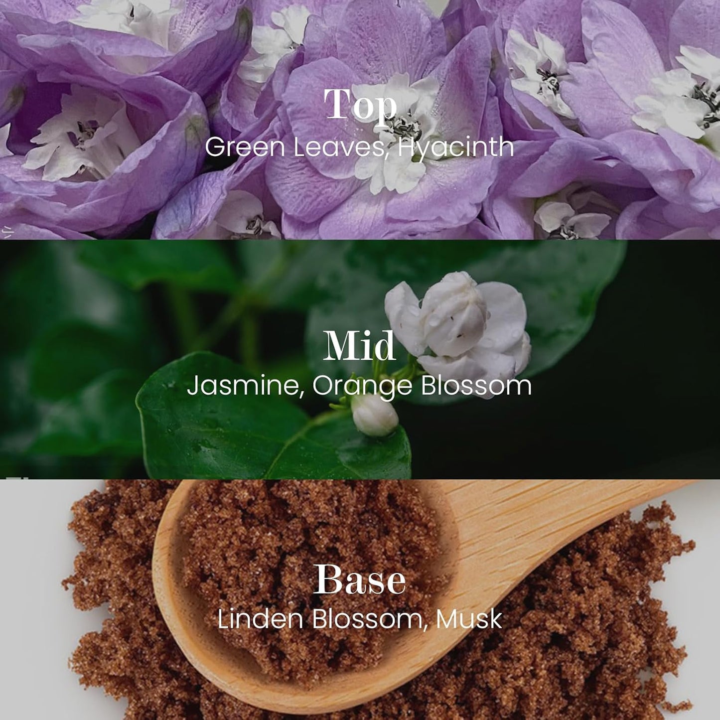 M&SENSE Natural Soy Candle| Bamboo Stream | 16.6 oz, 95H Burn | Minimalist Scented Candle for Relaxation, Gifting, Home Décor | for Bedroom, Office, Party Large