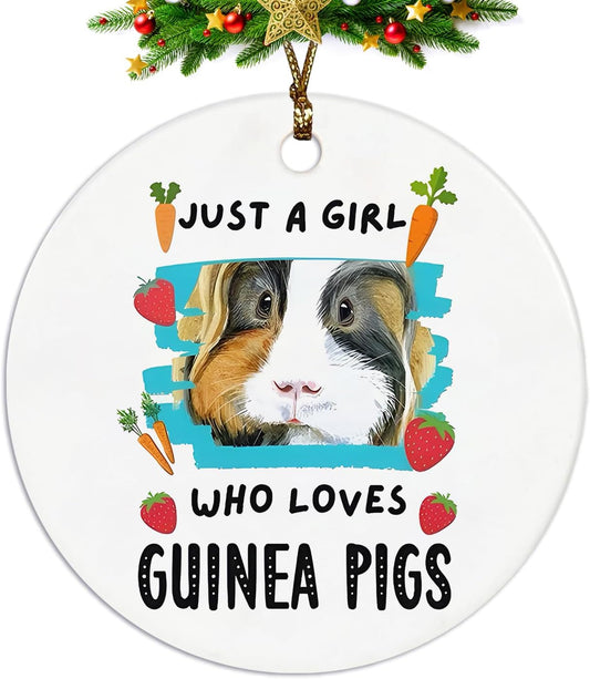 Guinea Pig Ornament, Guinea Pig Ornaments for Christmas Tree, Guinea Pig Gifts for Lovers Women, Just a Girl Who Loves Guinea Pigs Ceramic Ornaments, Guinea Pig Decorative Hanging Ornament
