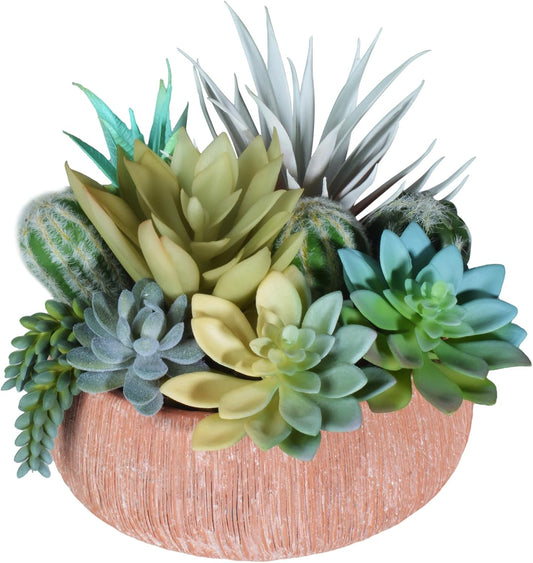 Premium Assorted Artificial Succulent Collection - Large Real Touch Artificial Cactus, Aloe Vera & Succulent Plants Artificial with Pots for Home Office Indoor (Artificial Coconut Shell - Pot)