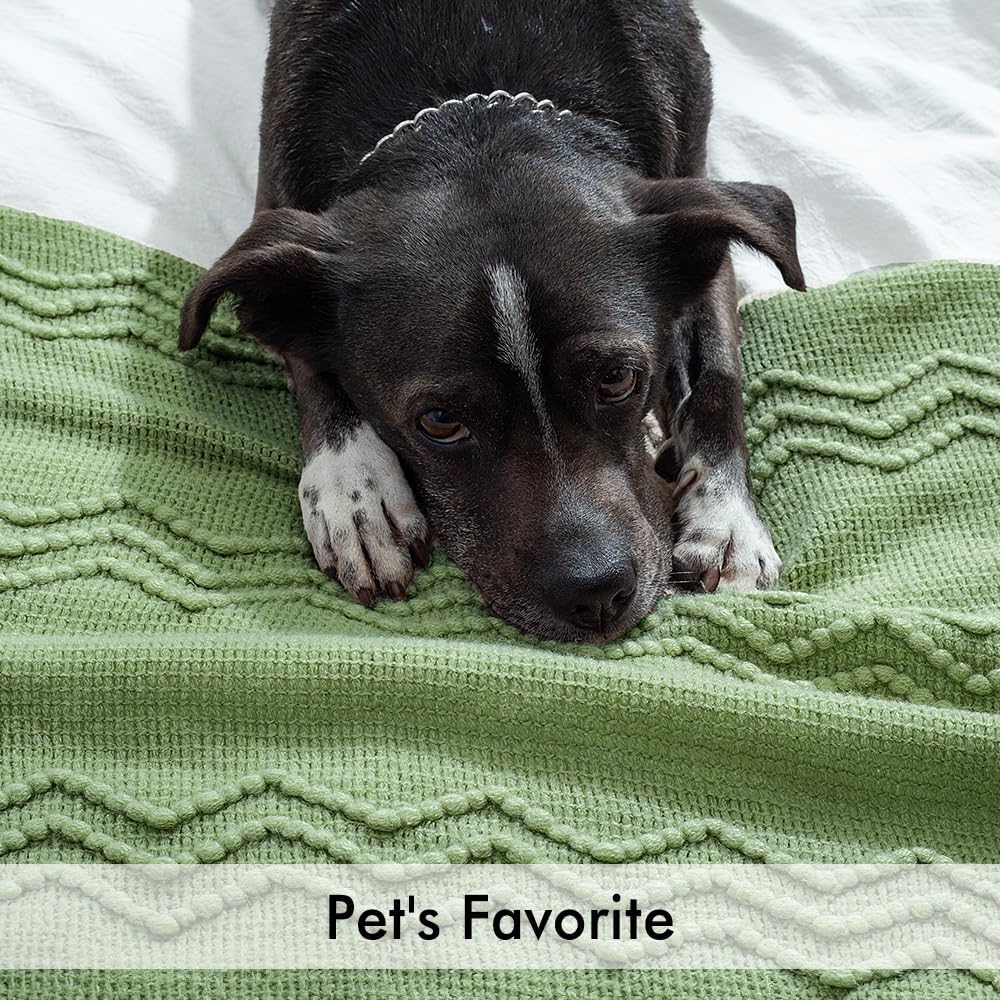 MIULEE Sage Green Knitted Throw Blanket for Couch Textured Spring Knit Blanket with Tassels Cozy Woven Boho Bed Blanket for Sofa Bed Chair Acrylic Wave Pattern 50"x60"