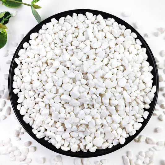 10LB Succulent and Cactus Gravel, 1/5 Inch White Natural Decorative Polished Pebbles for Landscaping, River Rocks for Plants, Vases, Aquariums, Terrarium and Outdoor Gardening