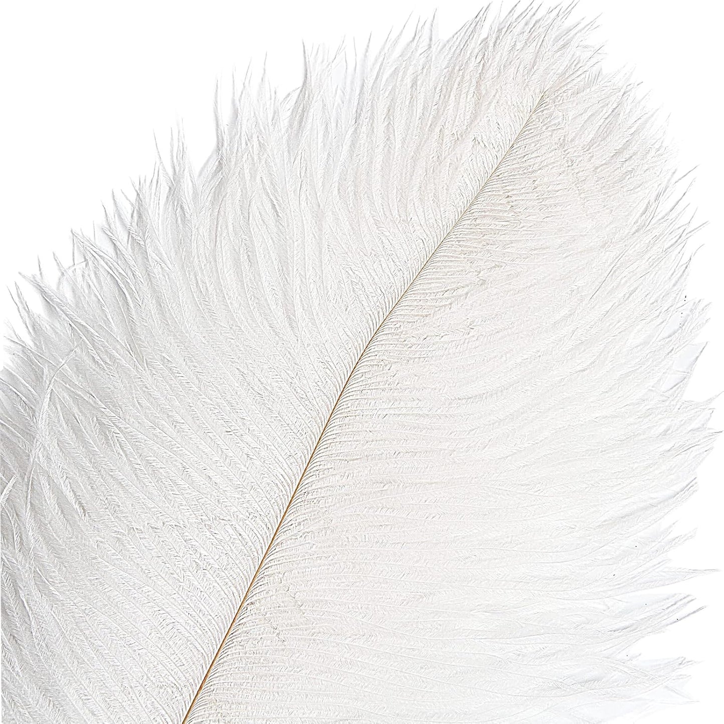 THARAHT 12pcs White Ostrich Feathers Natural Bulk 20-22Inch 50cm-55cm for Wedding Party Centerpieces Easter Gatsby and Home Decorate Ostrich Feathers