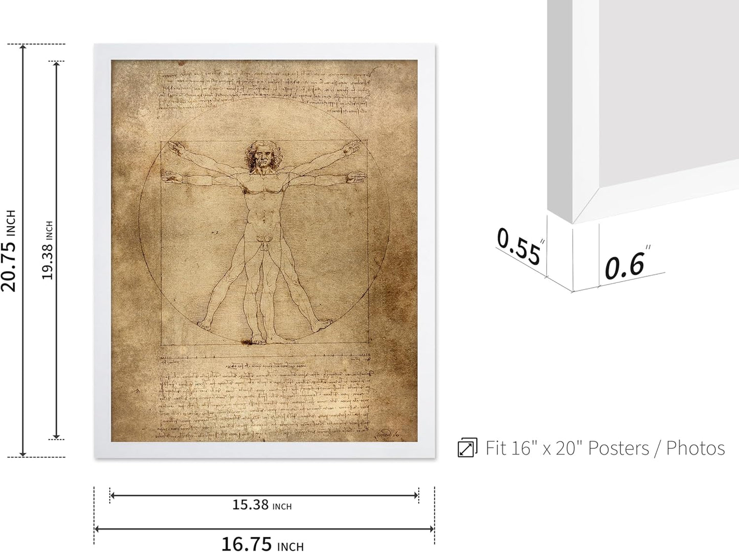 Poster Master Classic Leonardo Da Vinci Poster - Vintage Renaissance Print - Gift for Artist, Friend - Vitruvian Man, Proportion, Symmetry, Human Body - Wall Decor for Office, 16x20 White Framed