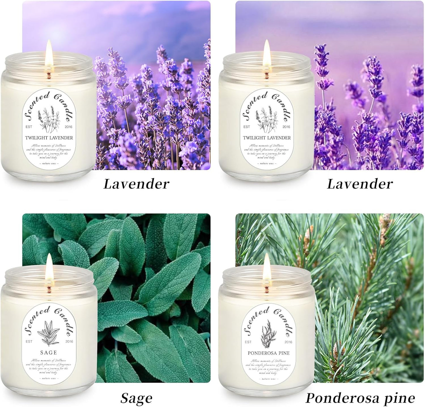 4 Pack Candles for Home Scented, Lavender Candles, 28 oz 200 Hour Long Lasting Aromatherapy Candle Set, Candle Gift Set for Women, Perfect for Birthday Gifts