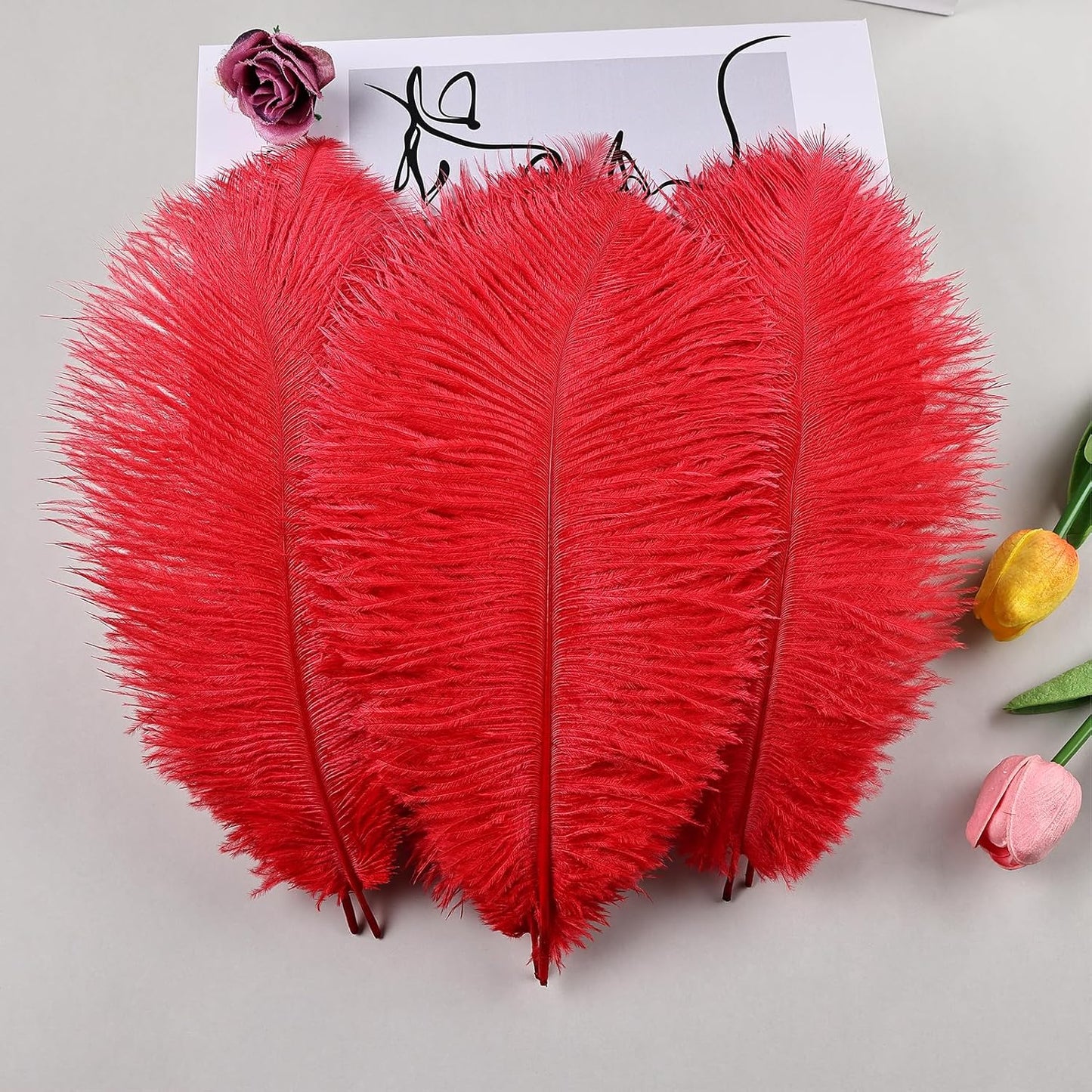 THARAHT Red Ostrich Feathers 12pcs Natural Bulk 8-10Inch 20cm-25cm for Crafts Wedding Party Centerpieces Flower Arrangement Halloween and Home Decoration Feathers