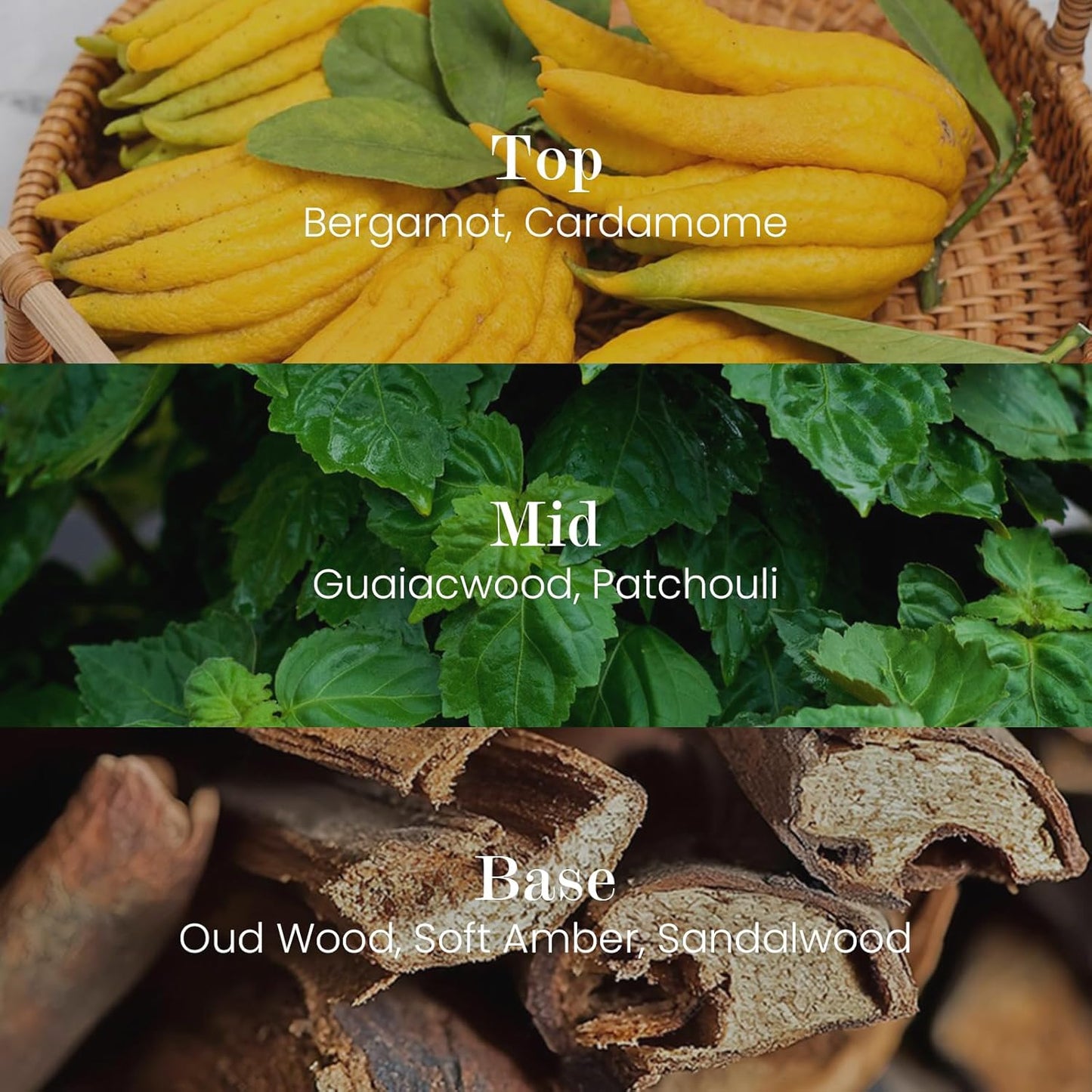 M&SENSE Natural Soy Candle| Oud Wood | 16.6 oz, 95H Burn | Minimalist Scented Candle for Relaxation, Gifting, Home Décor | for Bedroom, Office, Party Large