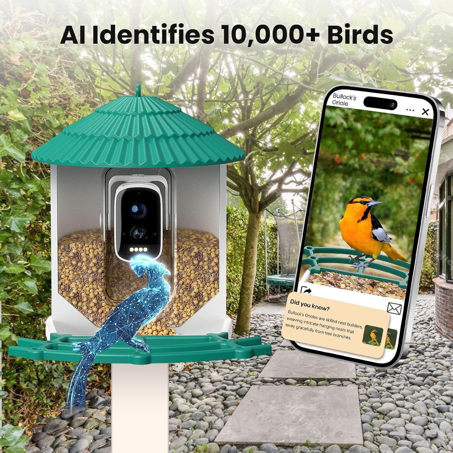Bird Feeders for Outdoors, Smart Bird Feeder with Camera Solar Powered, AI Species Identification, 3K Video Live Stream Camera, 5Mp HD Night Vision, Instant Arrival Alerts