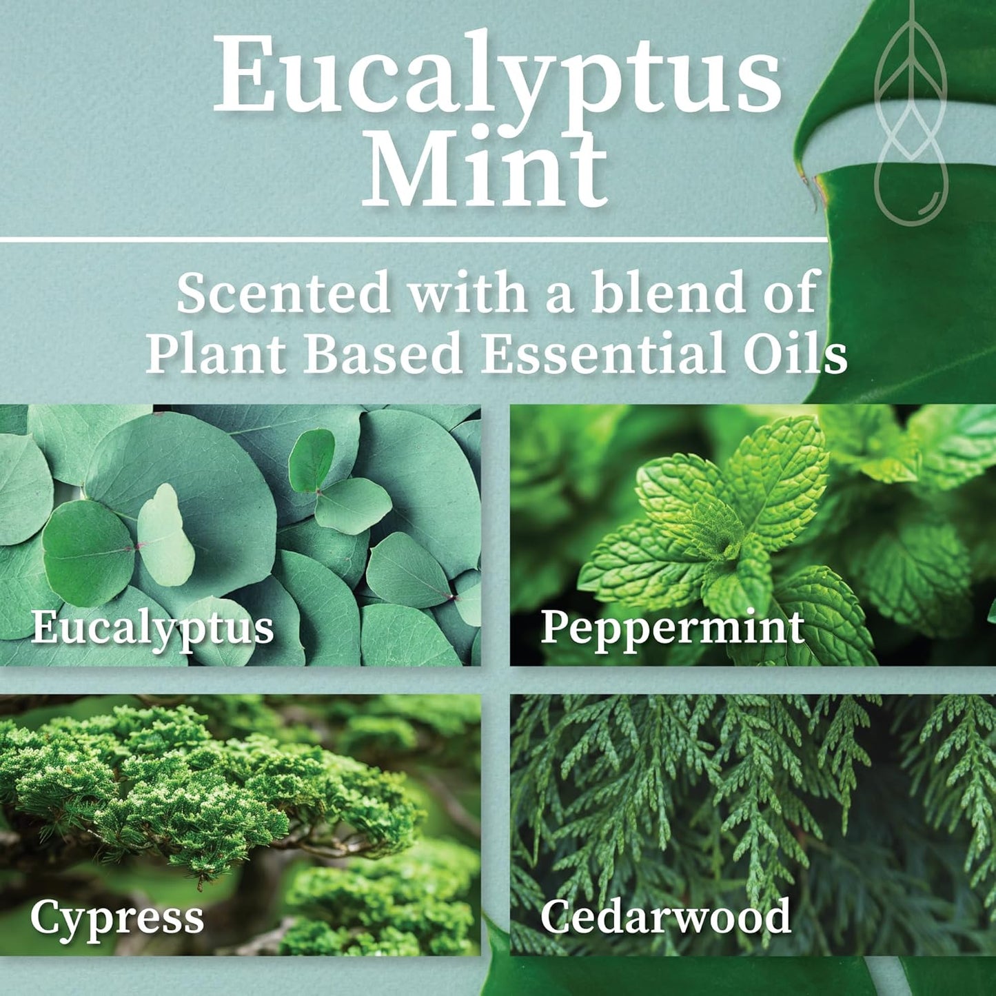 Hemlock Park Wood Wick Candle Handcrafted with Natural Coconut Wax and Essential Oils (Amber & Gold 7.2 oz, Eucalyptus Mint)