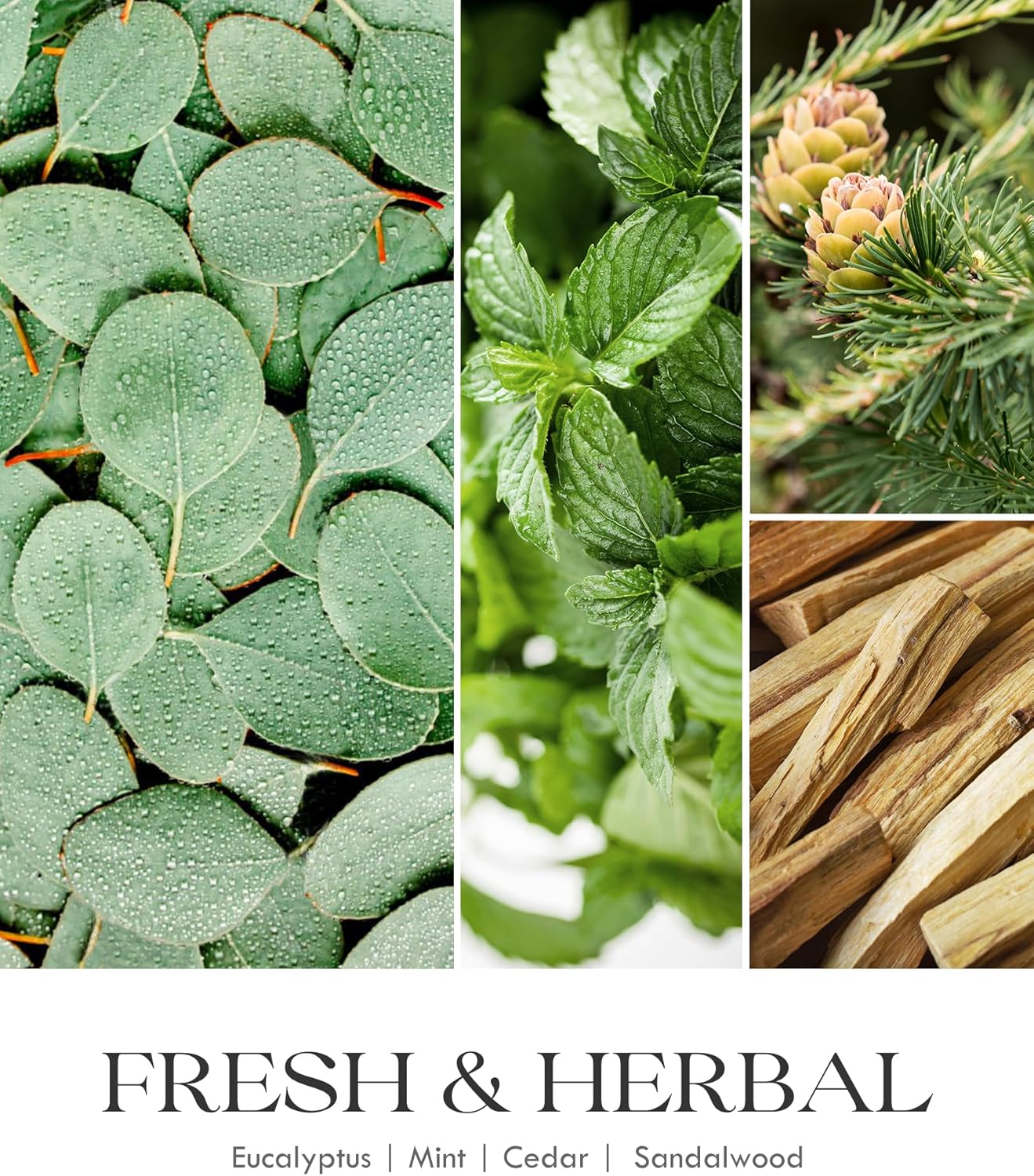 AOOVOO Eucalyptus Mint Scented Candles for Women - Aromatherapy Candle with Crystals Inside, 10oz Soy Candles for Home Scented, Mothers Day Birthday Gifts Candle for Women Mom