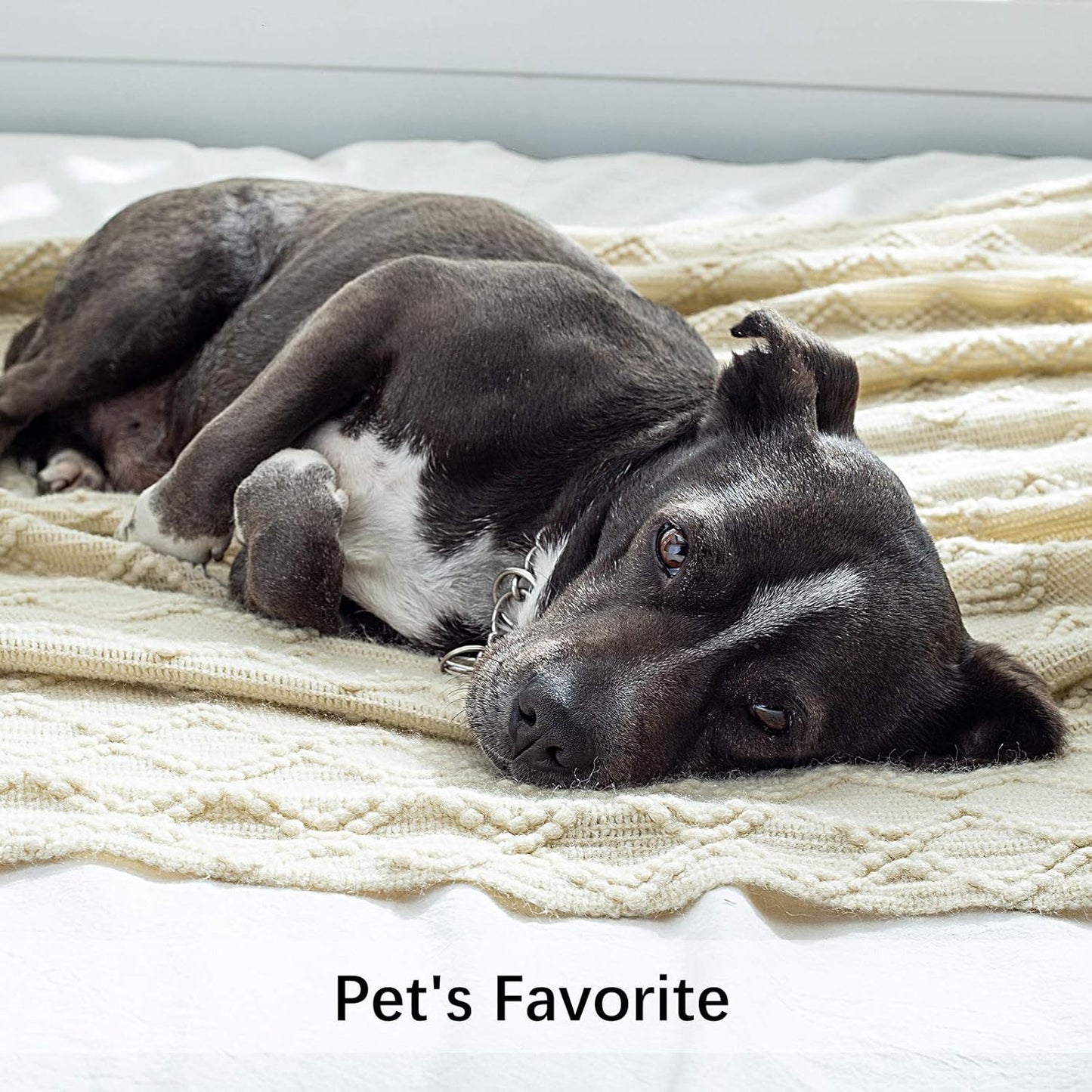 MIULEE Knitted Beige Throw Blanket Soft Sofa Knit Blanket for Couch 50 x 60 Inches, Solid Cozy Lightweight Wave Pattern Decorative Blankets with Tassels for Women, Kids and Babys