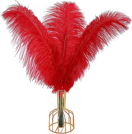 THARAHT Red Ostrich Feathers 12pcs Large Natural Bulk 16-18Inch 40cm-45cm for Wedding Party Centerpieces Halloween and Home Decoration Feathers