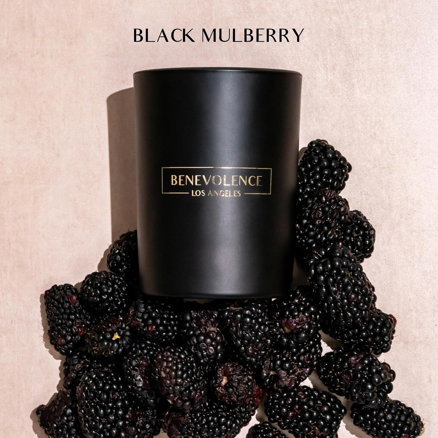 Benevolence LA Black Berries (Baies) Scented Candle | Soy Candles, Black Candle for Home | Gifts for Women and Men | Home Fragrance | Aromatherapy | Bathroom Freshener | 10oz