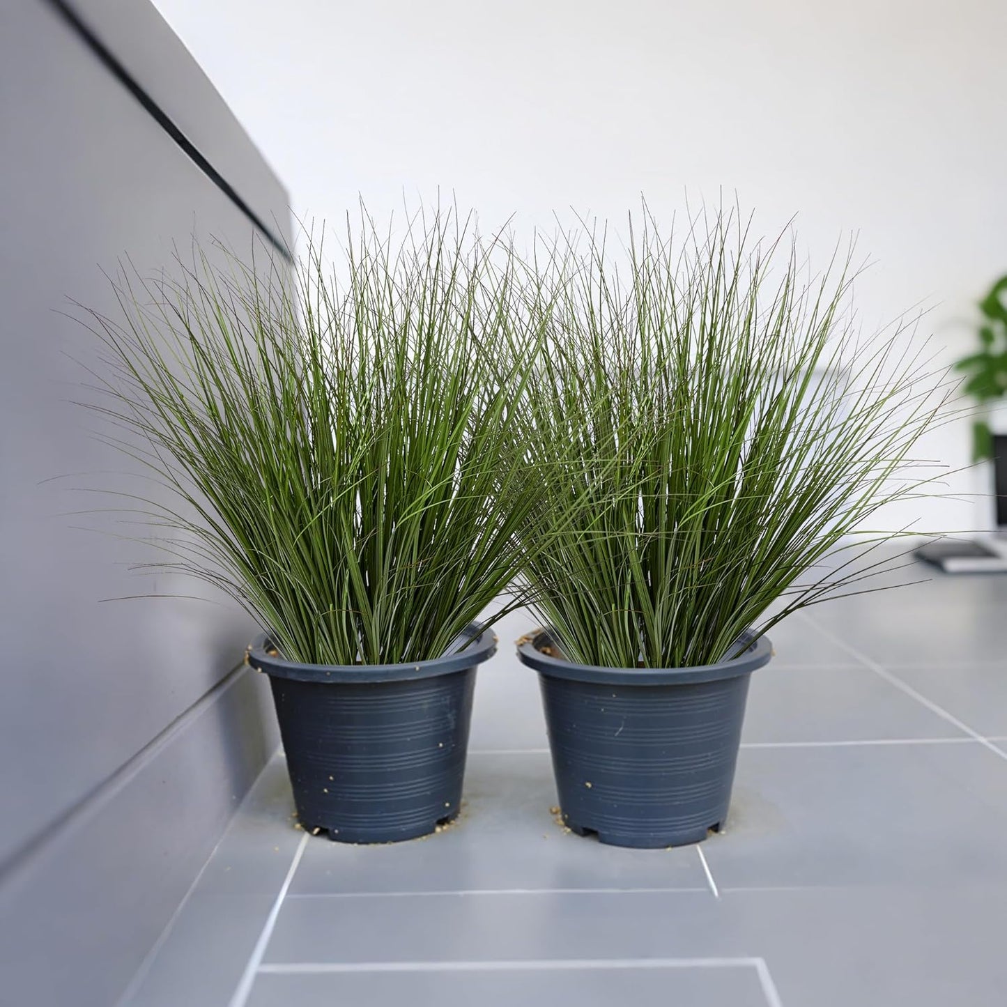 16PCS 17.3" Fake Plants Artificial Wheat Grass Greenery Plastic Plants Fake Grass Artificial Plants for Outdoor Decor Artificial Grass Plant with Greenery Stems for Indoor Home Decoration