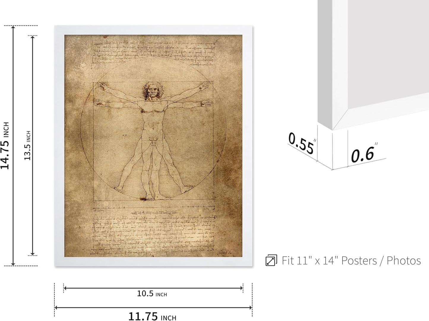 Poster Master Classic Leonardo Da Vinci Poster - Vintage Renaissance Print - Gift for Artist, Friend - Vitruvian Man, Proportion, Symmetry, Human Body - Wall Decor for Office, 11x14 White Framed