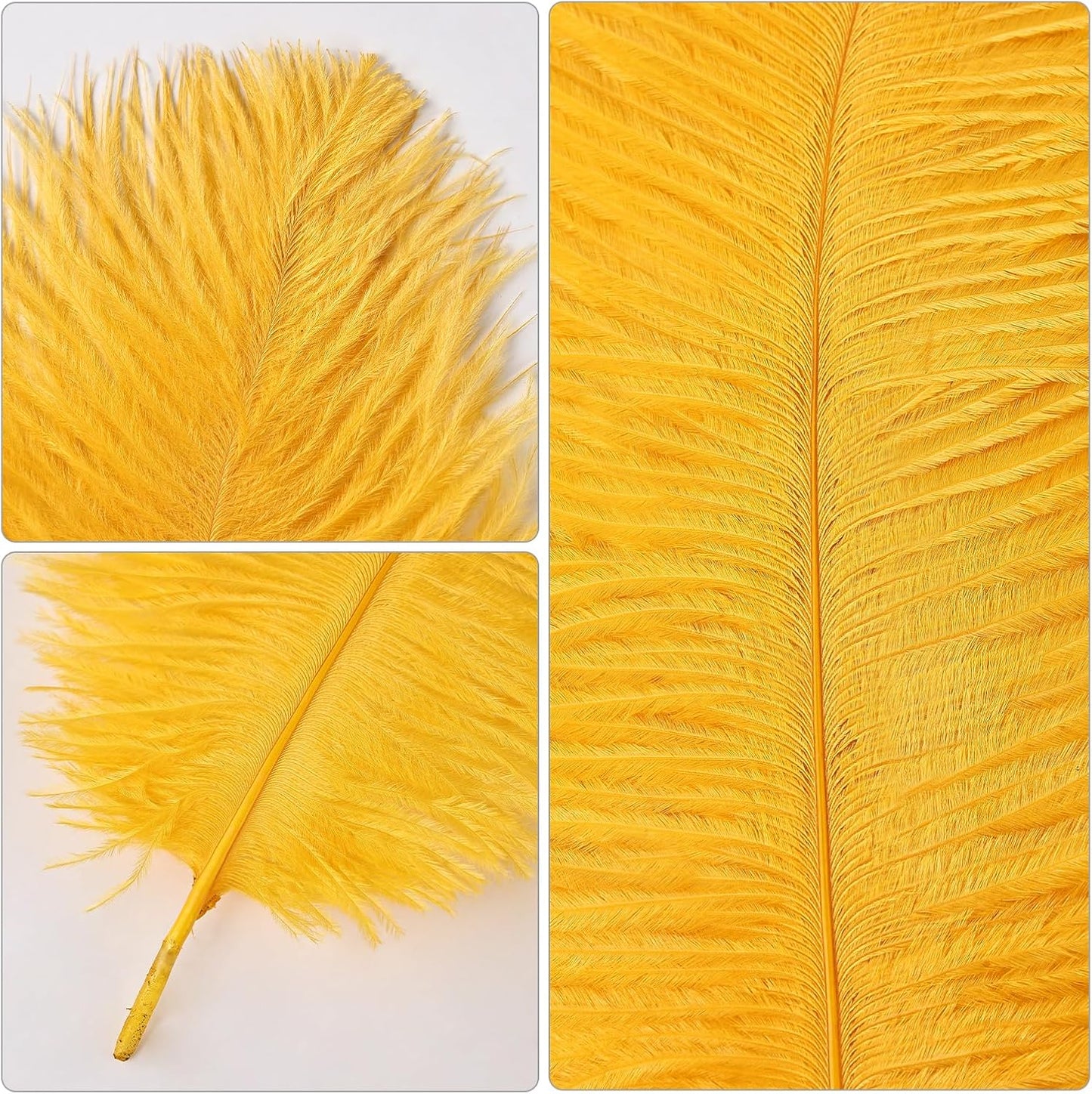 THARAHT Golden Yellow Ostrich Feathers 12pcs Natural Bulk 8-10Inch 20cm-25cm for Crafts Wedding Party Centerpieces Halloween and Home Decoration Feathers