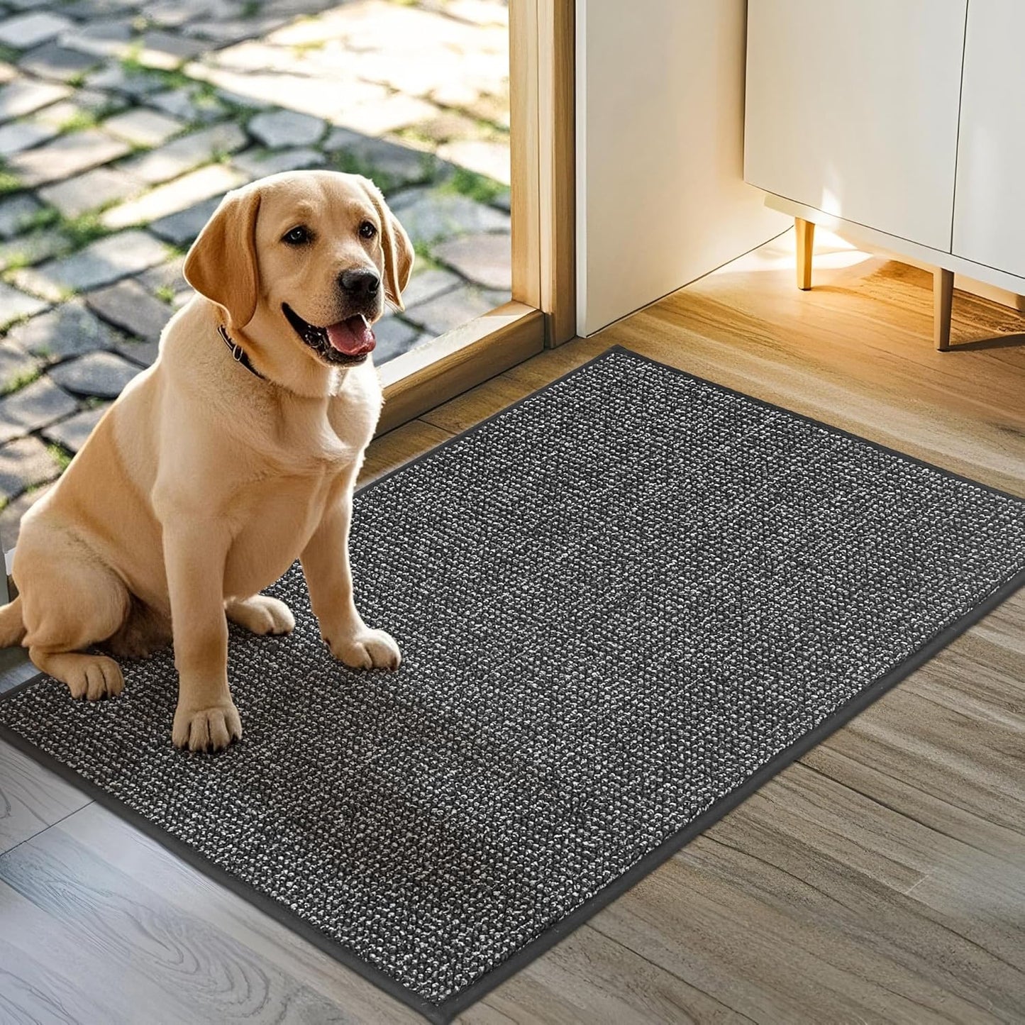 JSEI Dirt Trapper Door Mat 24"x36" Non-Slip Washable Entrance Mat, Dog Doormats, Absorbent & Fade-Resistant Floor Mats, Low Profile Welcome Mats for Entryway, Front Door, and Inside Entrance,Dark Grey